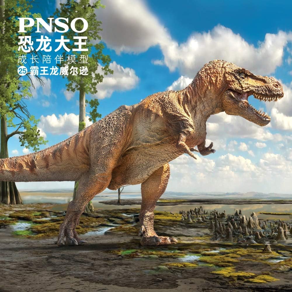 PNSO 成長シリーズ 25 ティラノサウルス 恐竜 フィギュア