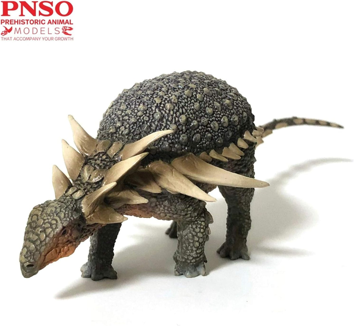 PNSO 成長シリーズ サウロペルタ 恐竜 動物 フィギュア PVC プラモデル おもちゃ 模型 17.3cm級