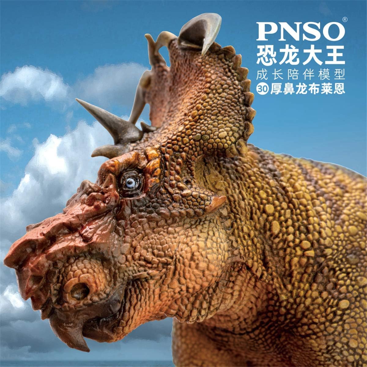 PNSO 成長シリーズ パキリノサウルス 恐竜 角竜 フィギュア PVC プラモデル おもちゃ 模型 15.1cm級