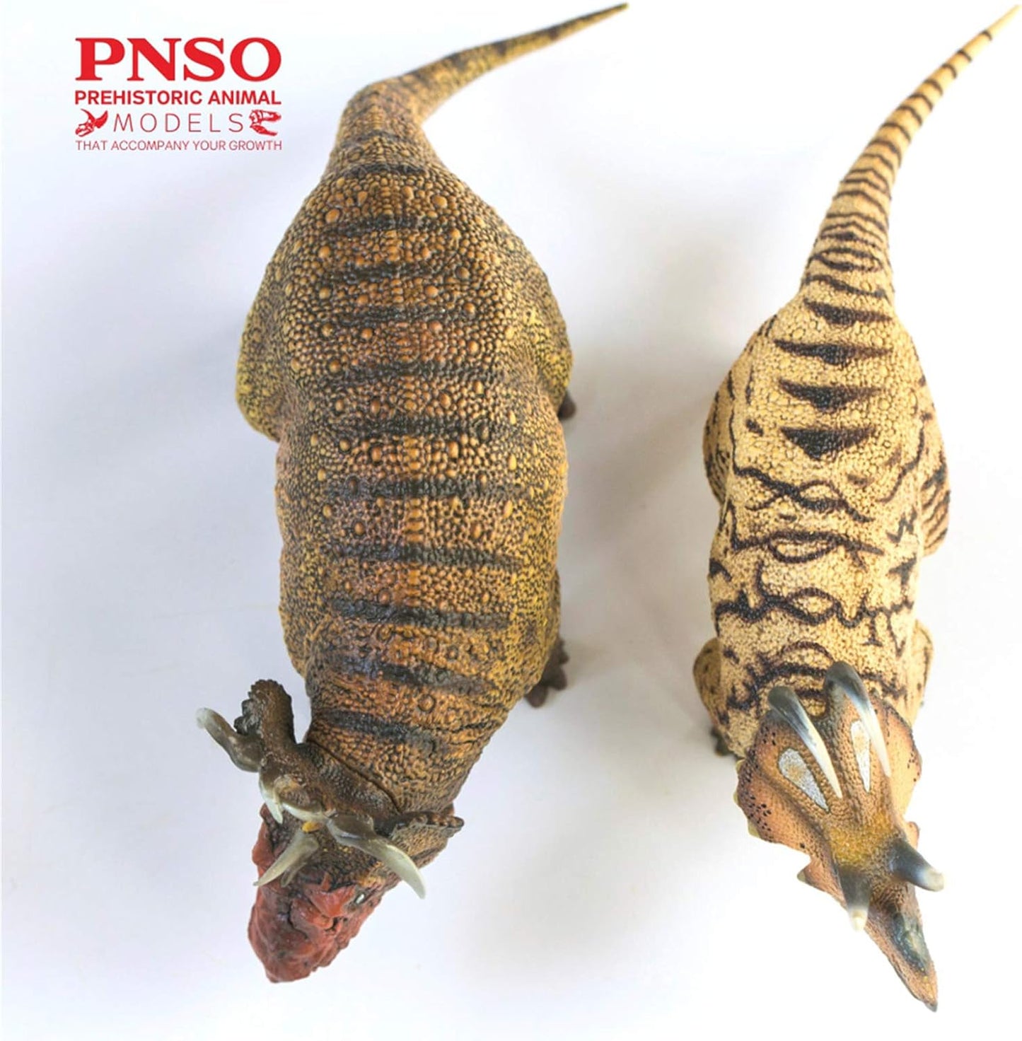 PNSO 成長シリーズ 41 マカイロケラトプス 恐竜 フィギュア