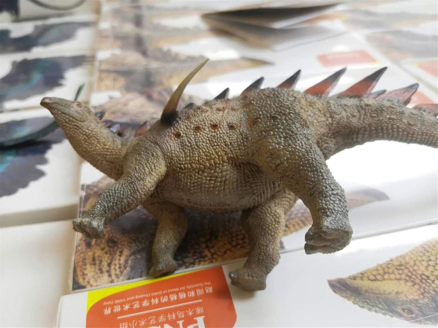 PNSO 成長シリーズ トゥオジャンゴサウルス ステゴサウルス 恐竜 フィギュア PVC プラモデル おもちゃ 模型 19.8cm級