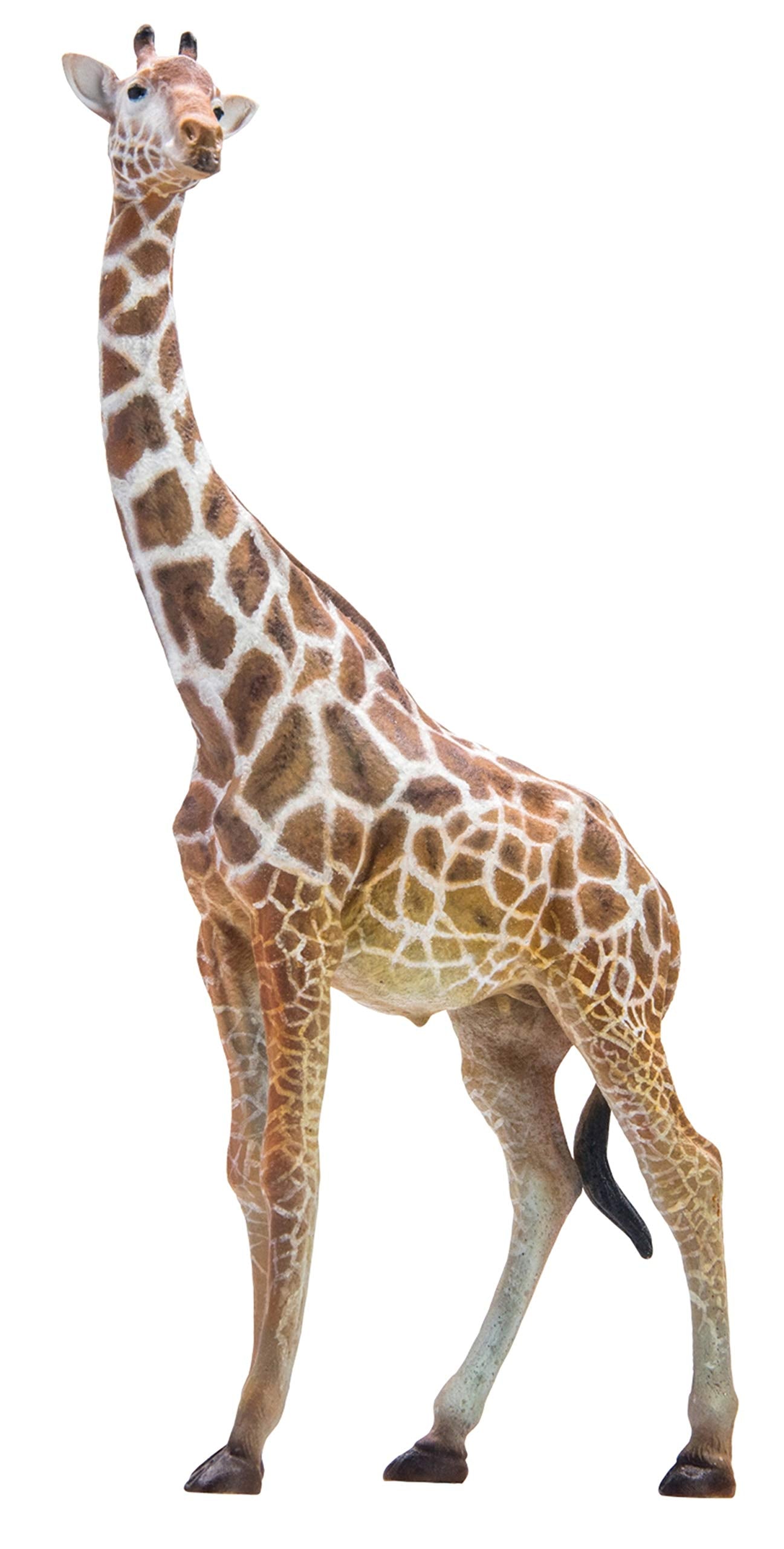 PNSO 動物園 成長シリーズ キリン 野生動物 フィギュア PVC プラモデル おもちゃ 模型 17.1cm級