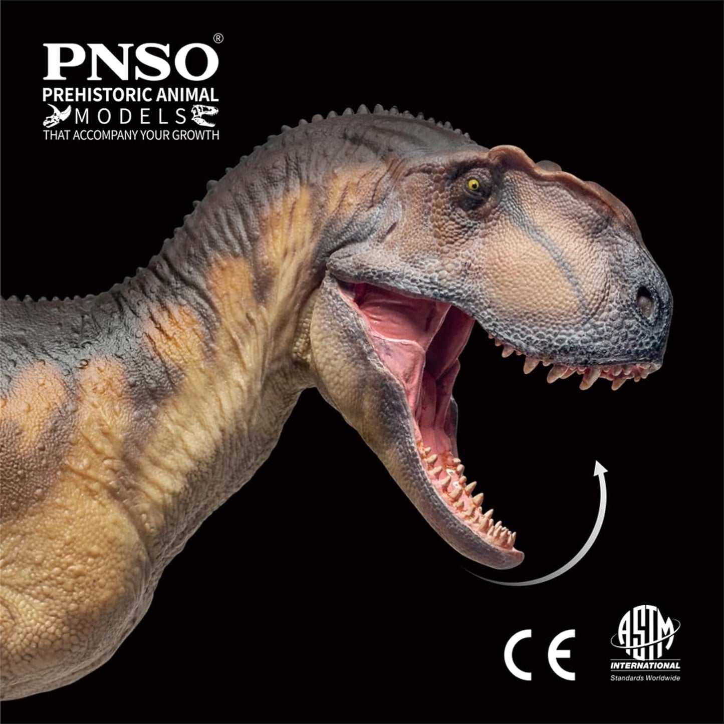 PNSO 成長シリーズ 76 ヤンチュアノサウルス フィギュア 32cm級 口開閉可能 恐竜 PVC おもちゃ 模型