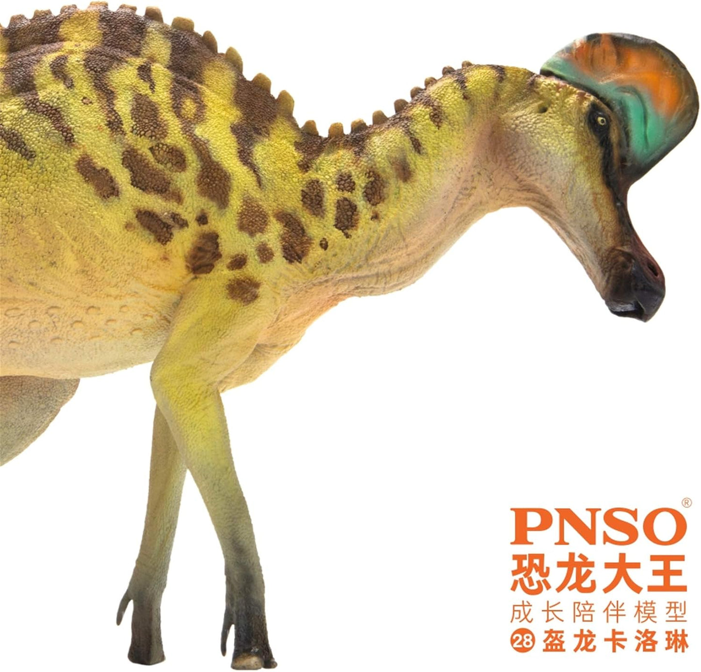 PNSO 成長シリーズ コリトサウルス 恐竜 フィギュア PVC プラモデル おもちゃ 模型 27cm級