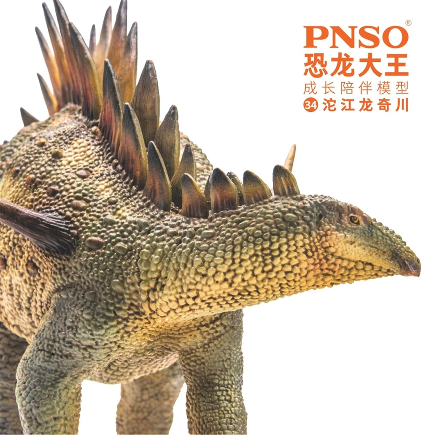 PNSO 成長シリーズ トゥオジャンゴサウルス ステゴサウルス 恐竜 フィギュア PVC プラモデル おもちゃ 模型 19.8cm級