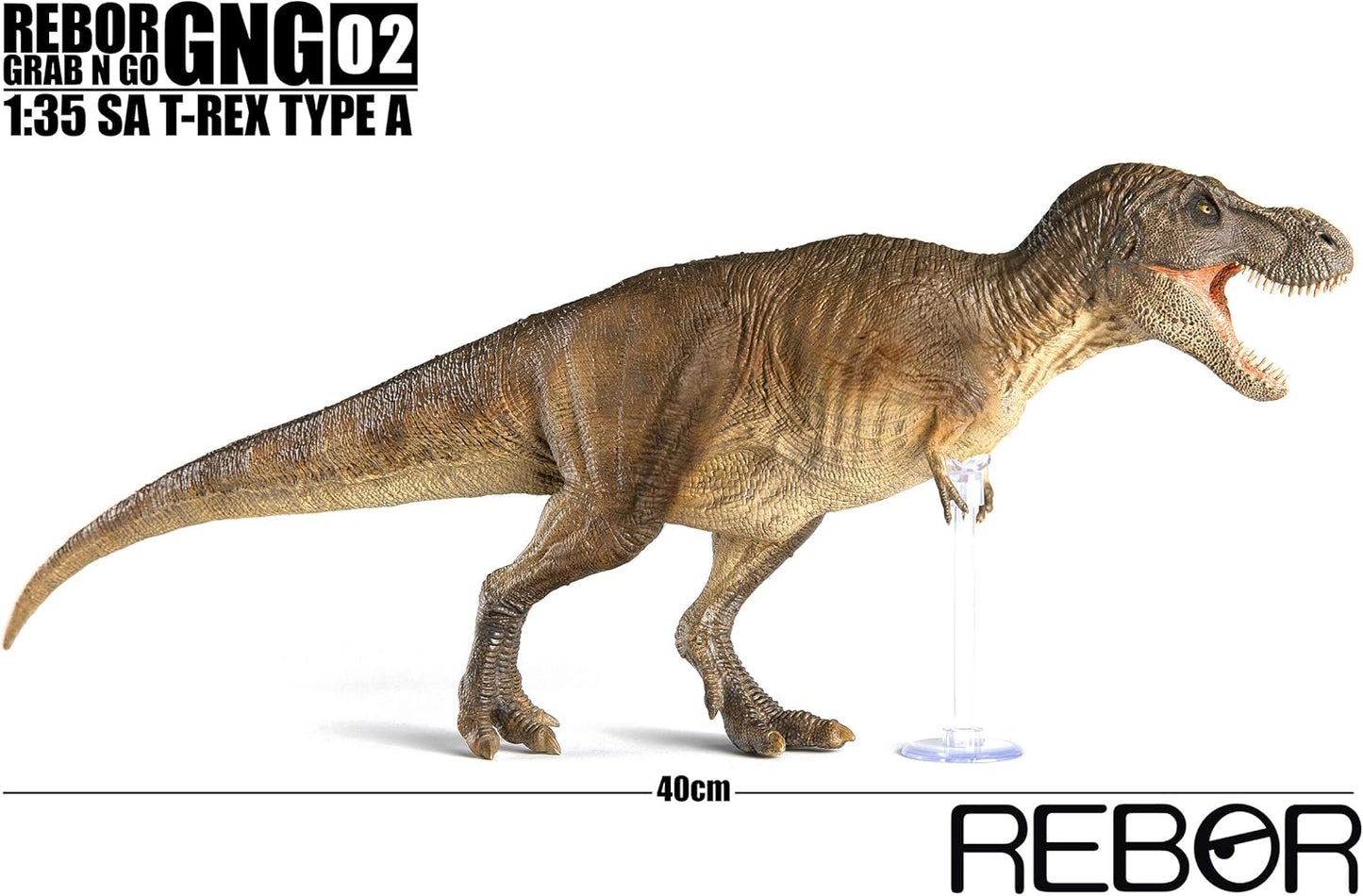 Rebor 2020 1/35 サイズ ティラノサウルス GNG02 03 SA T-REX Tレックス 大きい 肉食 恐竜 リアル フィギュア PVC プラモデル おもちゃ 模型 プレゼント プレミアム 40cm級 オリジナル 塗装済 完成品 (2pcs)