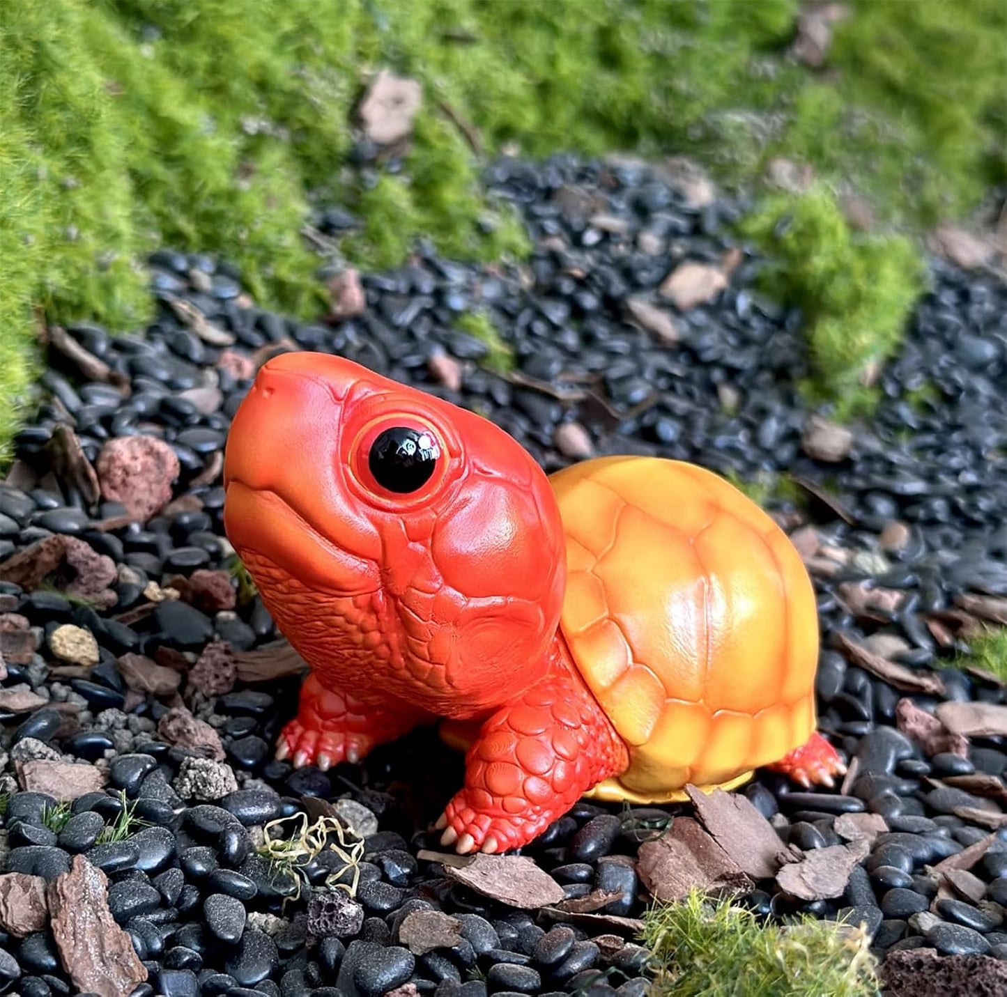 動物惑星 ハコガメ フィギュア カメ 亀 10.5CM級 カメ目 ニシキハコガメ ユカタンハコガメ フロリダハコガメ爬虫類 情景セット 樹脂 可愛い おもちゃ リアル 動物好き オリジナル 模型 (7点セット)