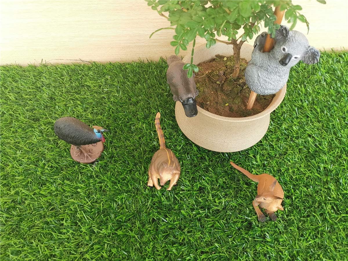 PNSO 5個 セット大洋州 オセアニア オーストラリア コアラ コモリグマ レッドカンガルー 動物 リアル フィギュア プラモデル おもちゃ 模型 25cm級