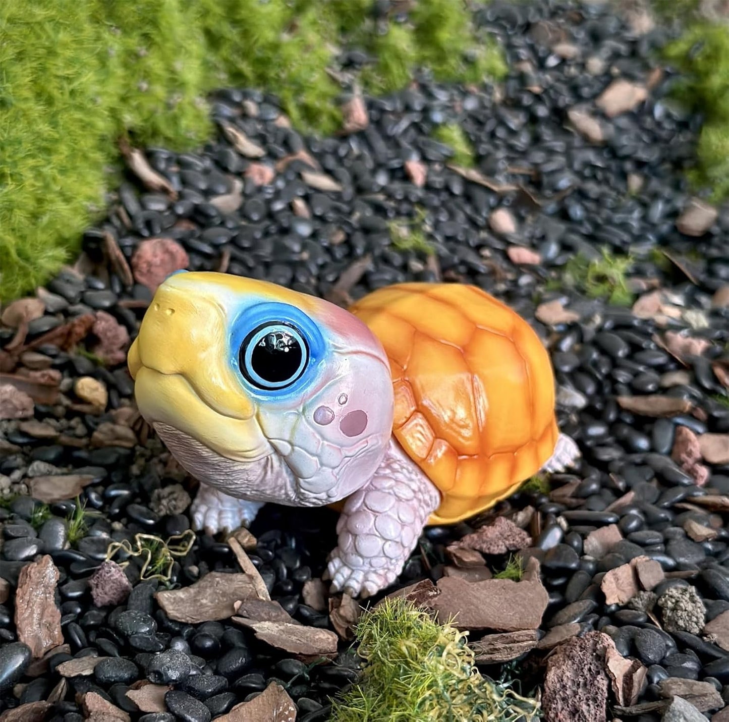 動物惑星 ハコガメ フィギュア カメ 亀 10.5CM級 カメ目 ニシキハコガメ ユカタンハコガメ フロリダハコガメ爬虫類 情景セット 樹脂 可愛い おもちゃ リアル 動物好き オリジナル 模型 (7点セット)