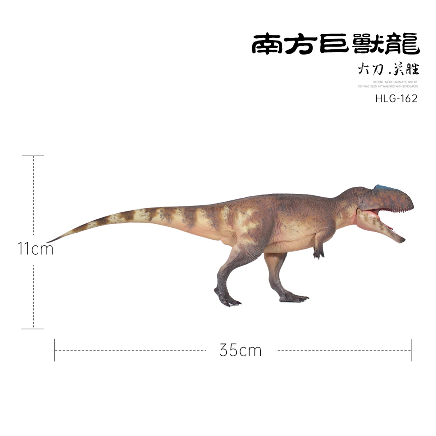 HAOLONGGOOD 1/35 サイズ ギガノトサウルス 35cm級 PVC CE認証 塗装済 獣脚類 カルカロドントサウルス科 恐竜 フィギュア リアル 模型 プラモデル おもちゃ