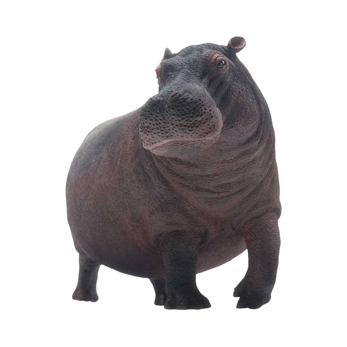PNSO 動物園シーリーズ カバ 野生動物 フィギュア PVC プラモデル 模型 おもちゃ