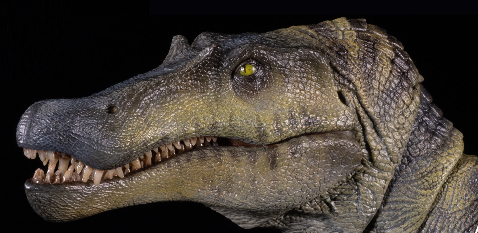 Nanmu 本心楠改 スピノサウルス フィギュア 3.0 関節可動 可動式 42.5