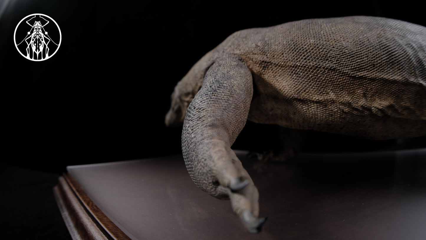 APHID STUDIO コモドオオトカゲ フィギュア コモドドラゴン 動物 爬虫綱 有鱗目 オオトカゲ科 リアル 樹脂 プラモデル 大人のおもちゃ 模型 プレゼント 置物 台座付き