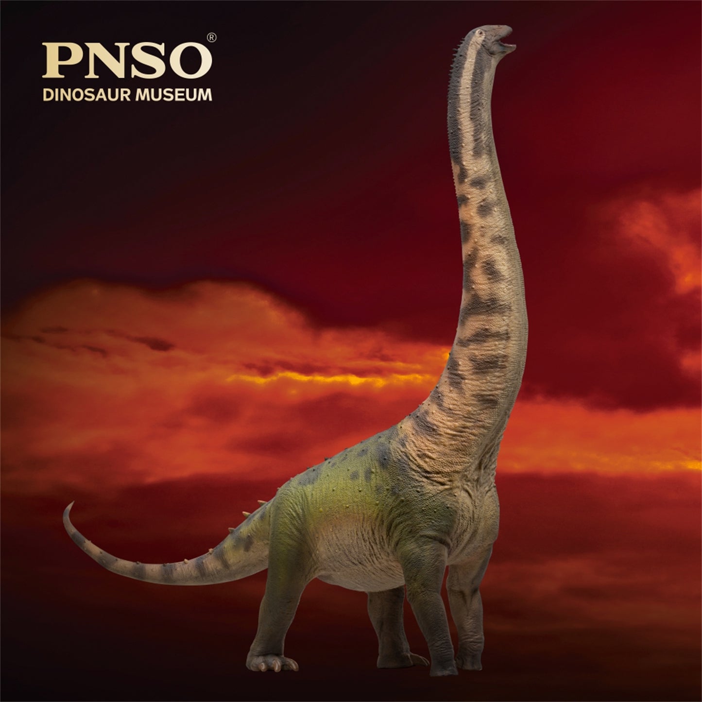 PNSO ホンコンサウルス フィギュア 竜脚類 30.4cm級 恐竜 PVC おもちゃ 模型