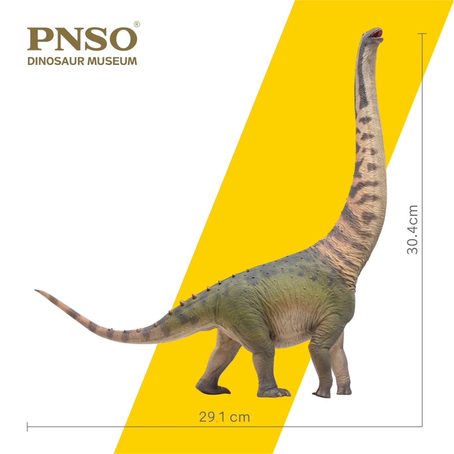 PNSO ホンコンサウルス フィギュア 竜脚類 30.4cm級 恐竜 PVC おもちゃ 模型