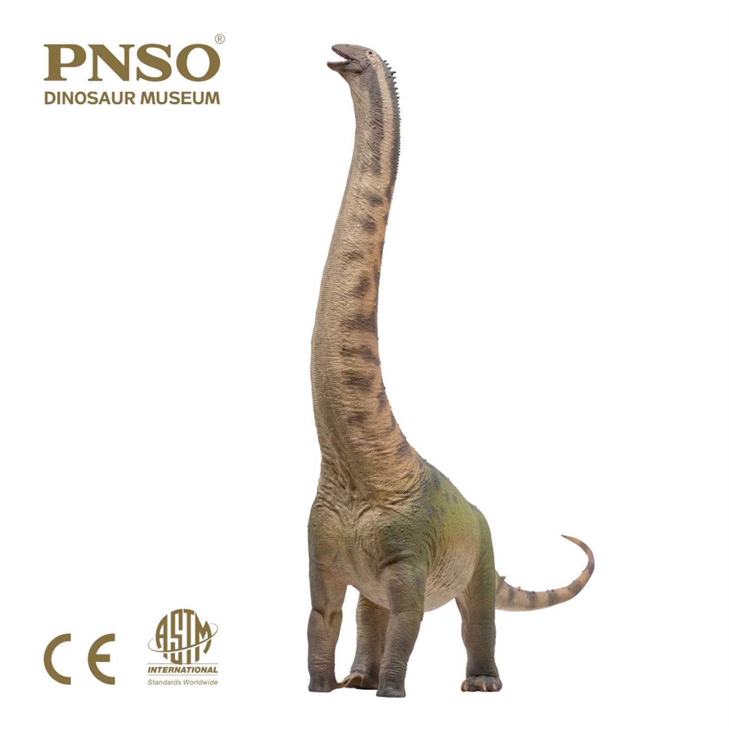 PNSO ホンコンサウルス フィギュア 竜脚類 30.4cm級 恐竜 PVC おもちゃ 模型