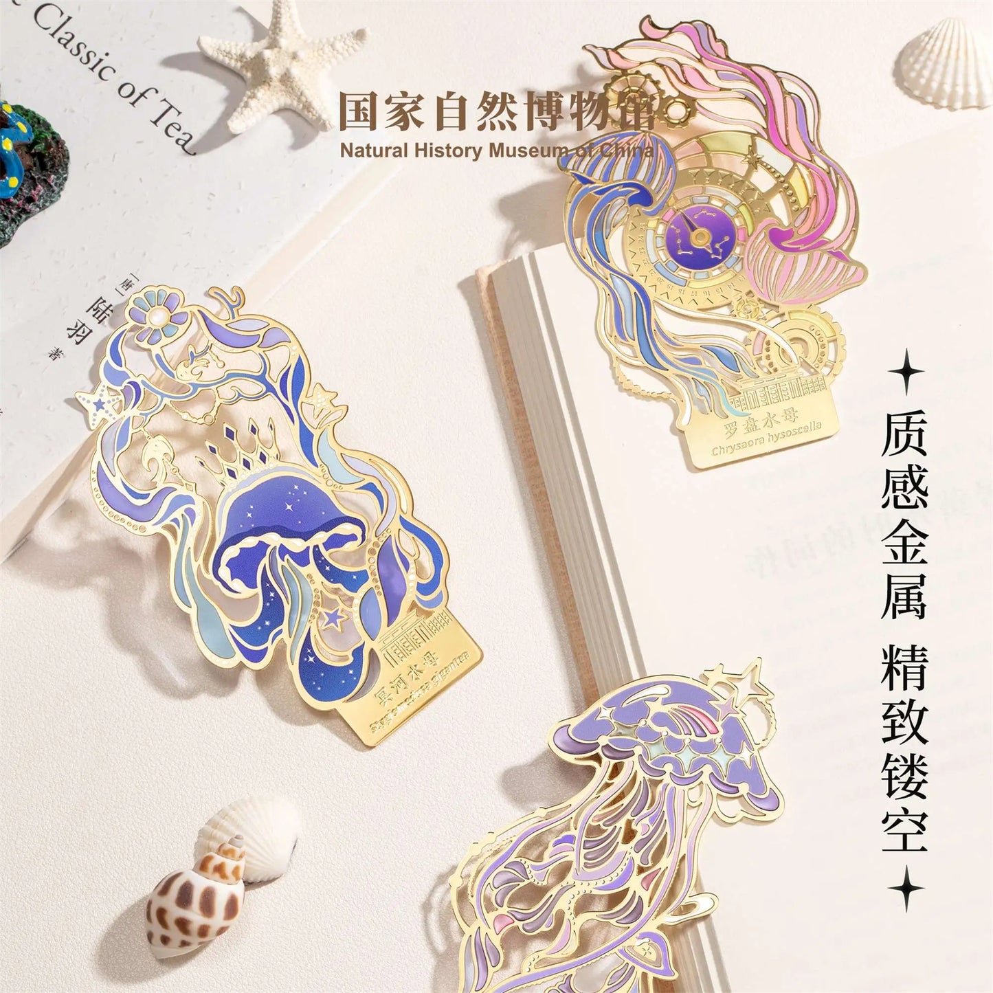 クラゲシリーズ メタルしおり＆マグネット 羅針盤クラゲ デザイン 文房具 冷蔵庫マグネット 誕生日・卒業ギフト