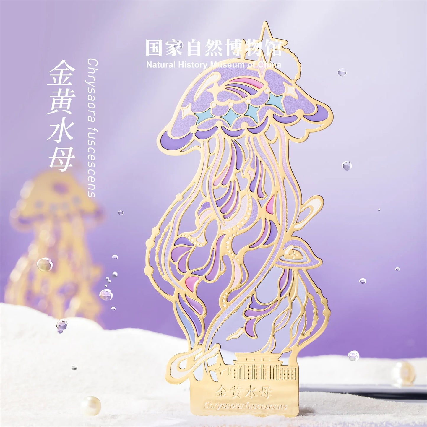 クラゲシリーズ メタルしおり＆マグネット 羅針盤クラゲ デザイン 文房具 冷蔵庫マグネット 誕生日・卒業ギフト