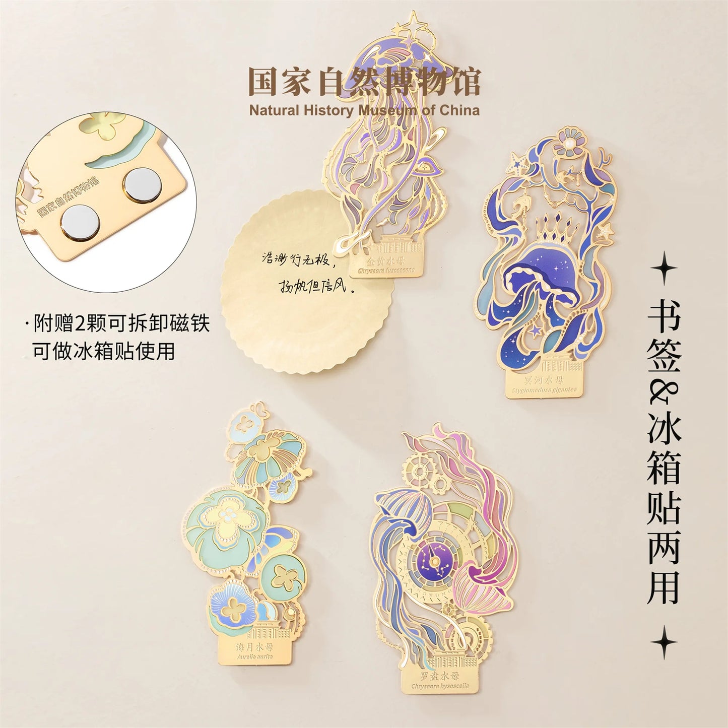 クラゲシリーズ メタルしおり＆マグネット 羅針盤クラゲ デザイン 文房具 冷蔵庫マグネット 誕生日・卒業ギフト