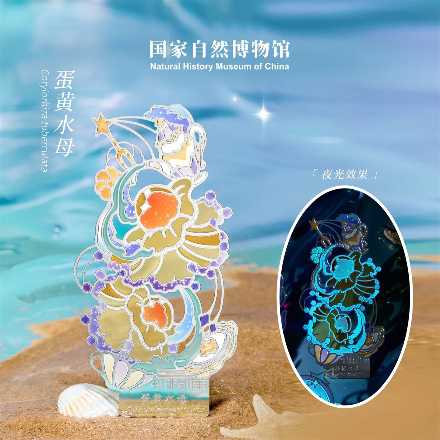 クラゲシリーズ メタルしおり＆マグネット 羅針盤クラゲ デザイン 文房具 冷蔵庫マグネット 誕生日・卒業ギフト