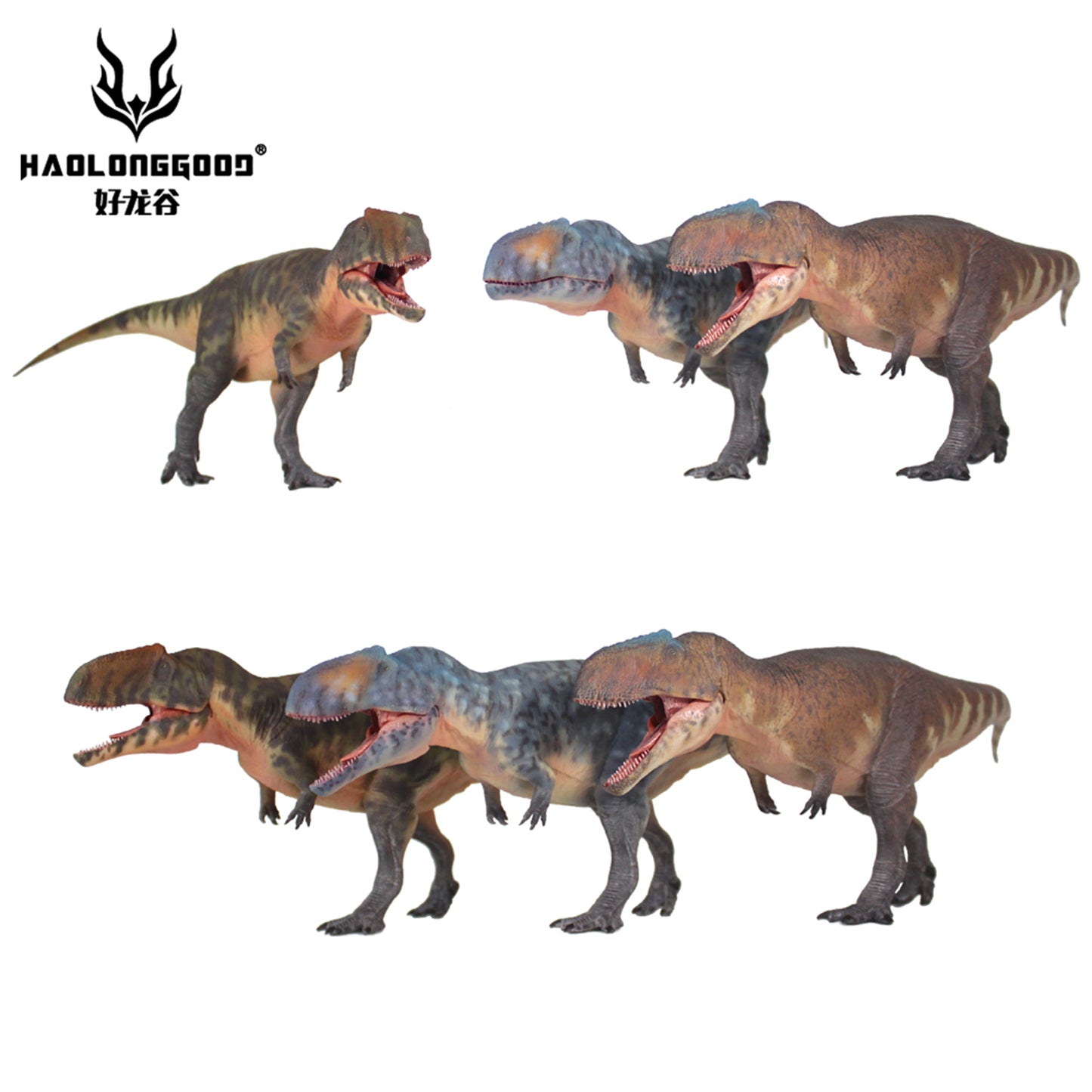 HAOLONGGOOD 1/35 サイズ ギガノトサウルス 35cm級 PVC CE認証 塗装済 獣脚類 カルカロドントサウルス科 恐竜 フィギュア リアル 模型 プラモデル おもちゃ