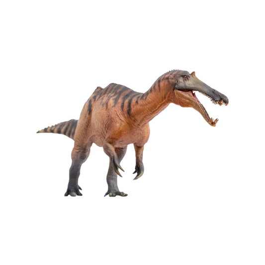 PNSO 成長シリーズ 66 シノプリオサウルス スピノサウルス科 恐竜 フィギュア プラモデル 模型
