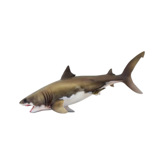 PNSO 成長シリーズ 54 クレトキシリナ サメ 海洋動物 フィギュア PVC おもちゃ 模型 20cm級