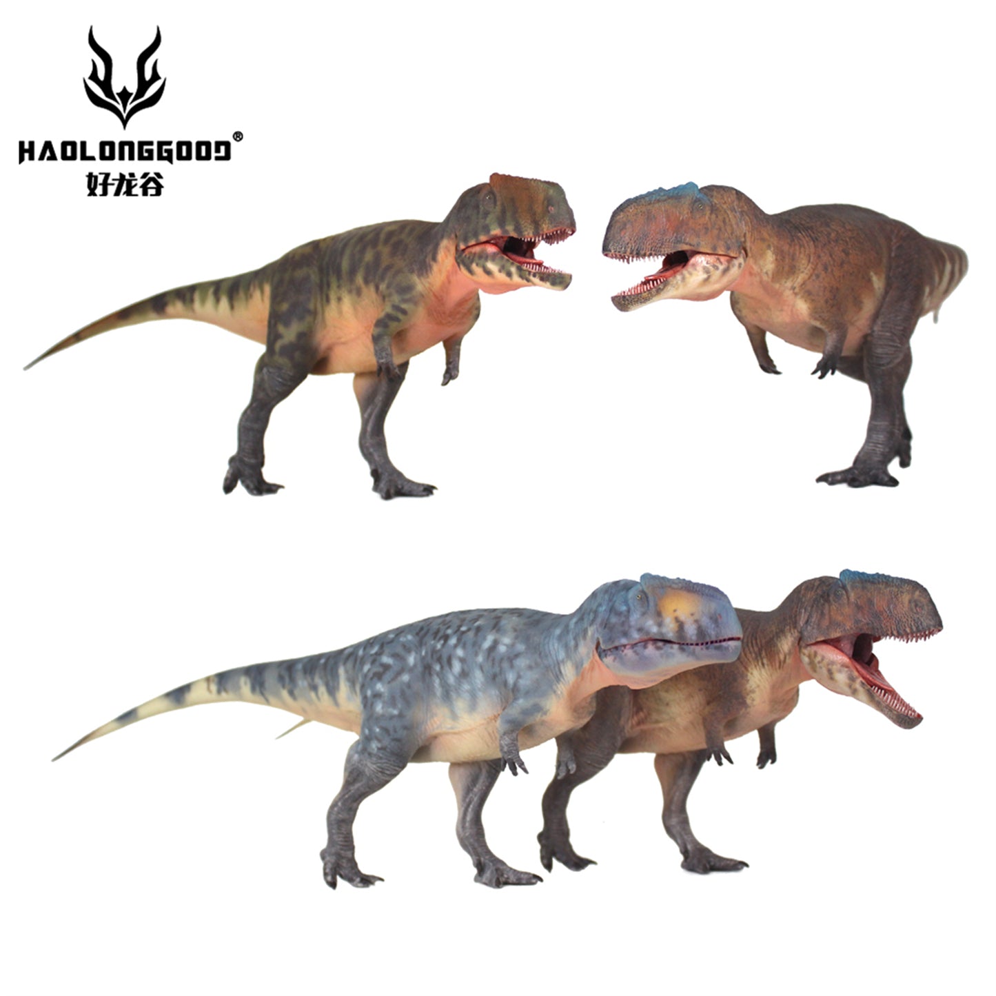 HAOLONGGOOD 1/35 サイズ ギガノトサウルス 35cm級 PVC CE認証 塗装済 獣脚類 カルカロドントサウルス科 恐竜 フィギュア リアル 模型 プラモデル おもちゃ