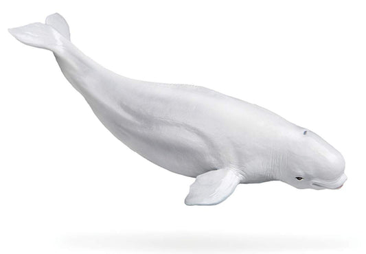 PNSO シロイルカ ベルーガ シロクジラ 海洋動物 フィギュア PVC プラモデル 模型 18.2cm