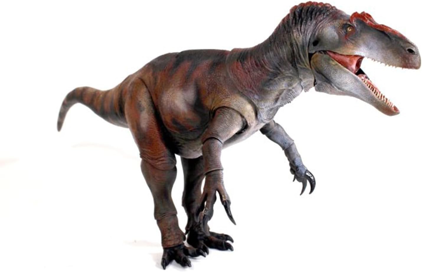 Creative Beast Studio 1/18 Arrosaurus Figure, Movable, Intermediate Jurassic Dinosaur, 20.1 inches (51 cm), Grade 22 Joints, PVC, Plastic Model, Toy, Freestanding, Display Model, Toy