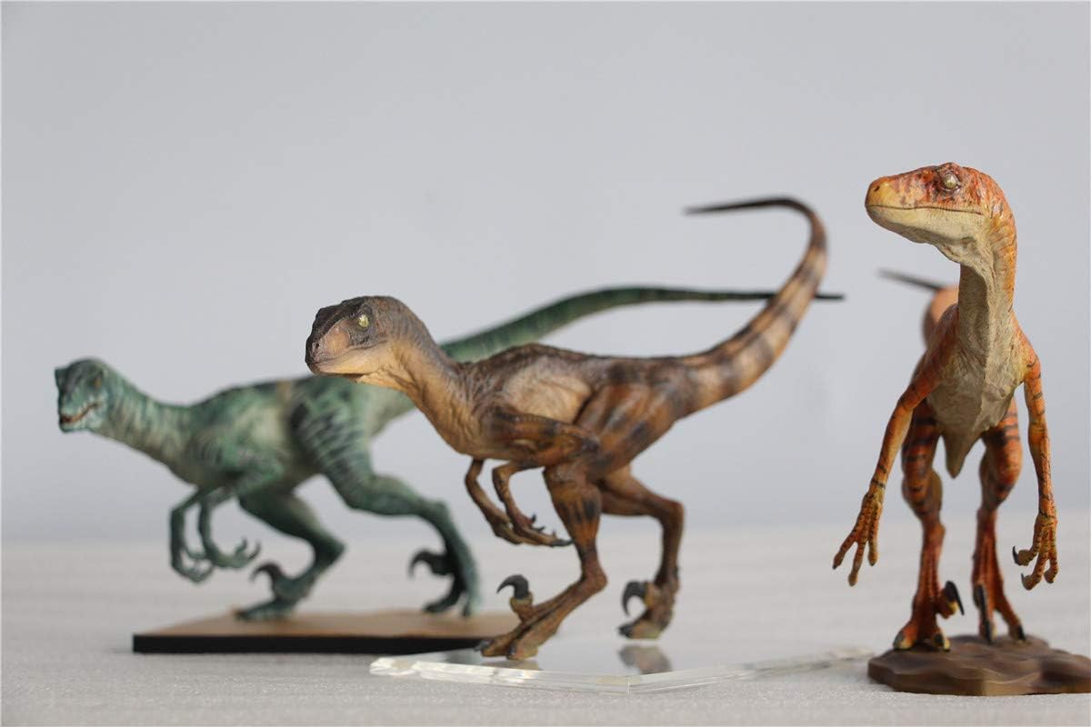 DINO DREAM 1/15 サイズ ヴェロキラプトル 恐竜 小型 肉食 リアル フィギュア PVC プラモデル 大人のおもちゃ 模型 プレゼント プレミアム 24cm級 オリジナル スタチュー 塗装済 完成品 置物 3色 台座付き (3点 セット)
