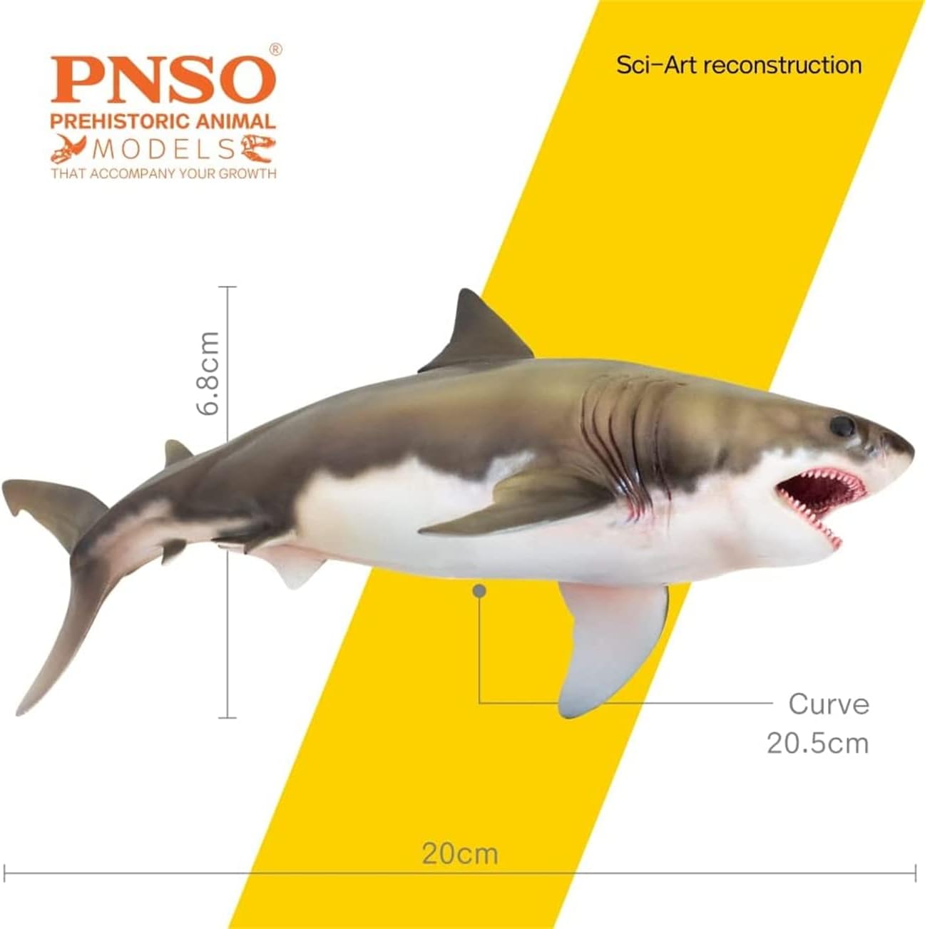 PNSO 成長シリーズ 54 クレトキシリナ サメ 海洋動物 フィギュア PVC おもちゃ 模型 20cm級
