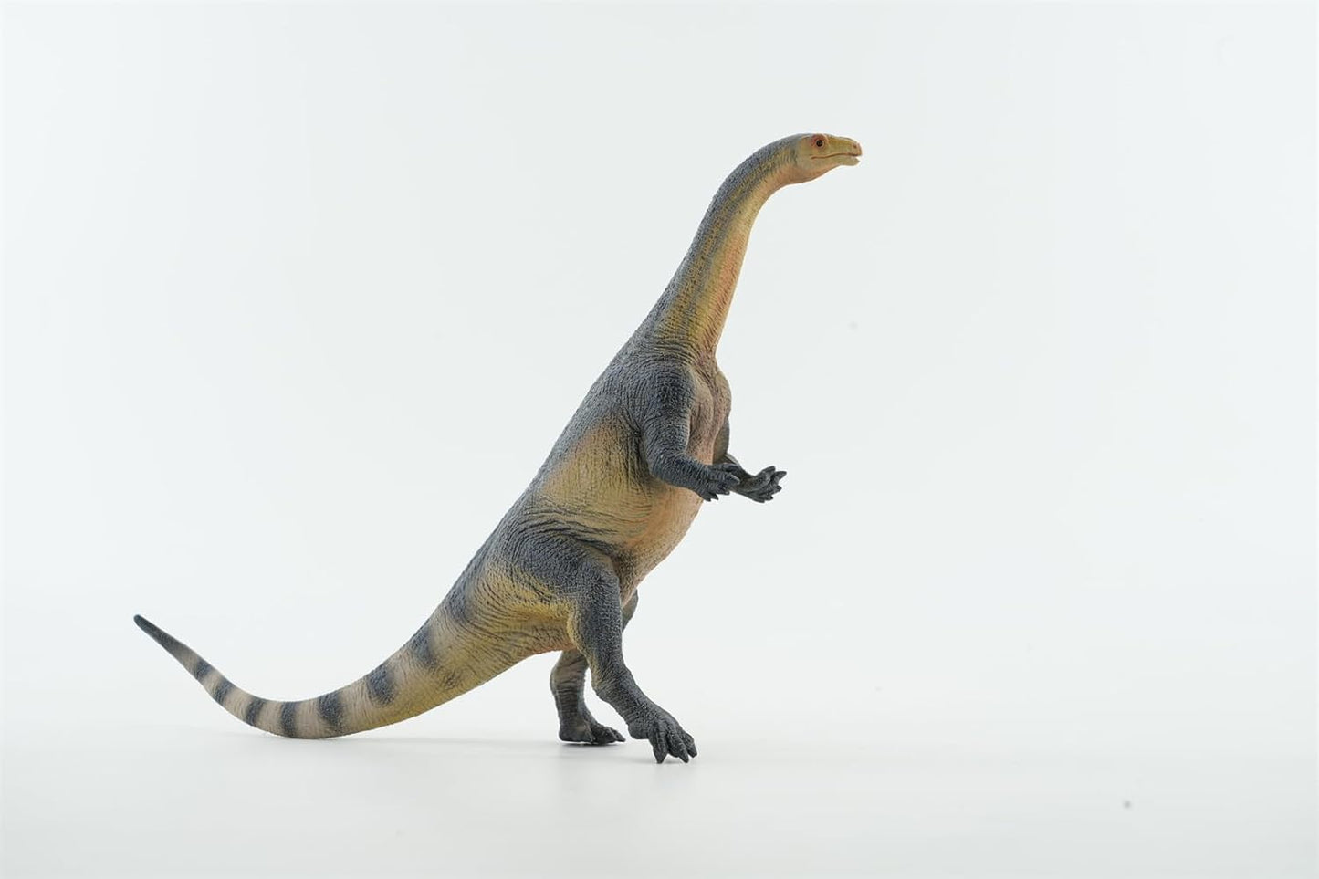 TNG ルーフェンゴサウルス ジュラ紀 古竜脚類 マッソスポンディルス科 恐竜 22.3CM PVC製 模型 プラモデル おもちゃ 自立 展示 模型 玩具 プレゼント 置物 [並行輸入品]