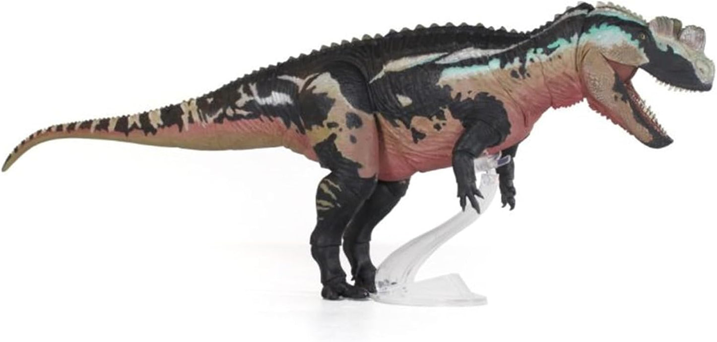 Beasts of the Mesozoic/Cenozoic 中生代の獣 1/18 ケラトサウルス ジュラ紀 恐竜 フィギュア 42.4cm 全身23箇所可動 ケラトサウルス科 PVC製 模型 プラモデル おもちゃ 自立 展示 模型 玩具 関節おもちゃ