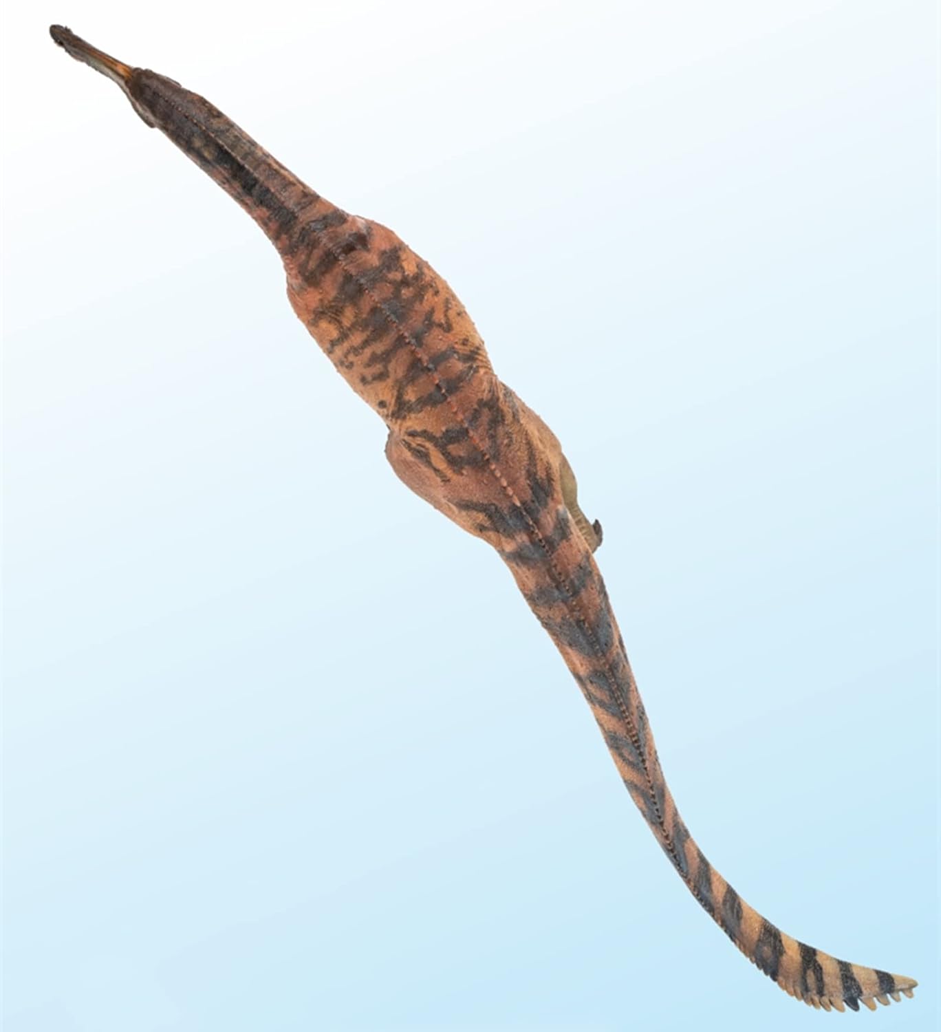 PNSO 成長シリーズ 66 シノプリオサウルス スピノサウルス科 恐竜 フィギュア プラモデル 模型