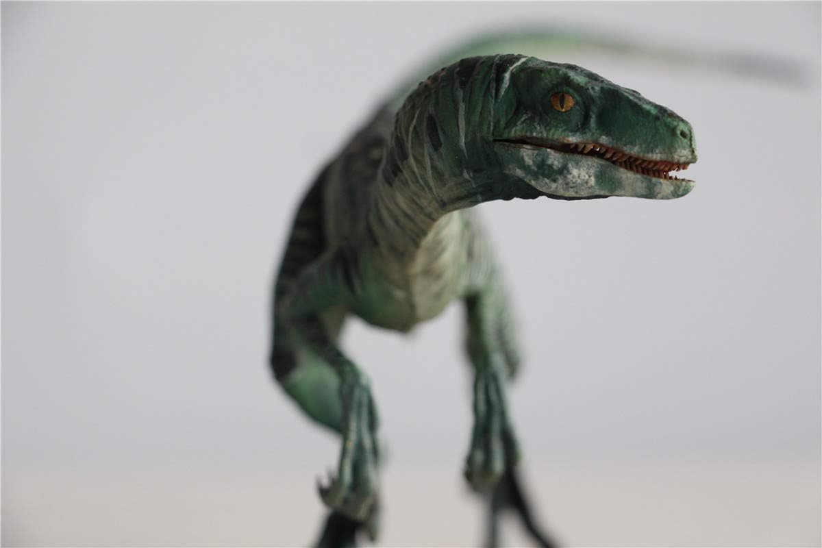 DINO DREAM 1/15 サイズ ヴェロキラプトル 恐竜 小型 肉食 リアル フィギュア PVC プラモデル 大人のおもちゃ 模型 プレゼント プレミアム 24cm級 オリジナル スタチュー 塗装済 完成品 置物 3色 台座付き (グリーン)