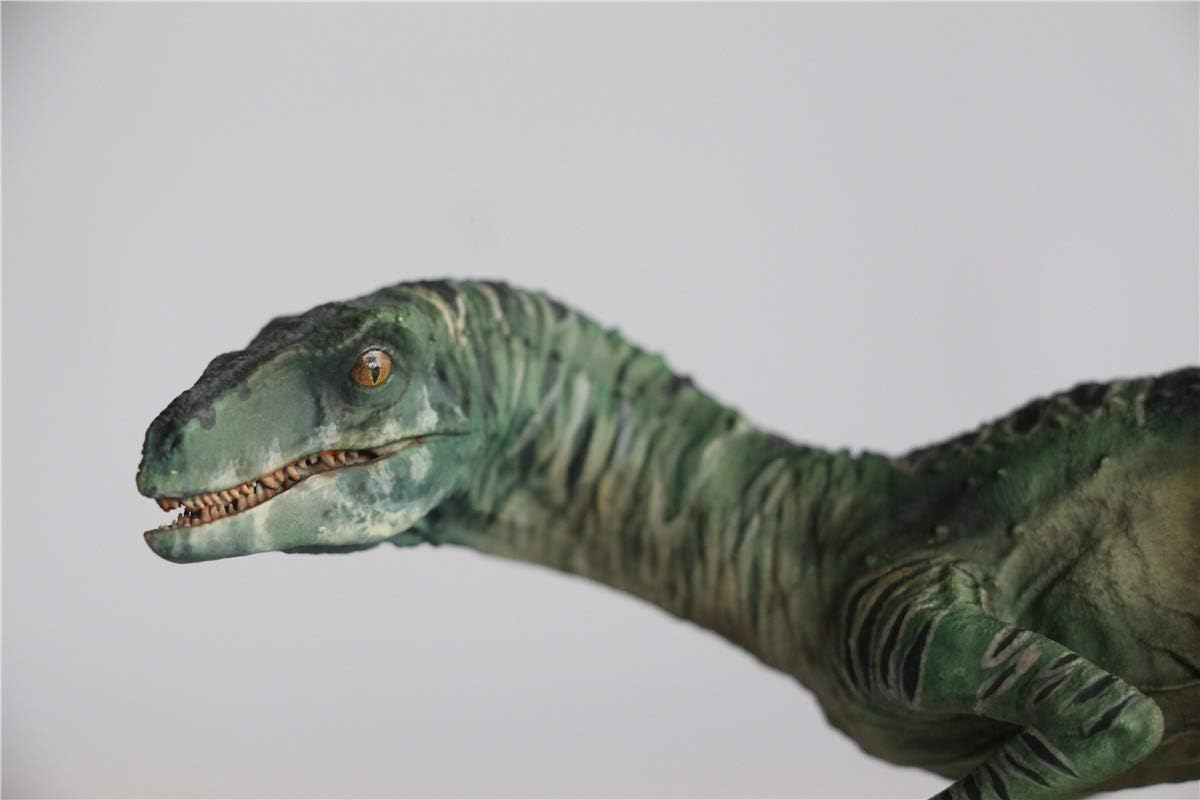 DINO DREAM 1/15 サイズ ヴェロキラプトル 恐竜 小型 肉食 リアル フィギュア PVC プラモデル 大人のおもちゃ 模型 プレゼント プレミアム 24cm級 オリジナル スタチュー 塗装済 完成品 置物 3色 台座付き (グリーン)