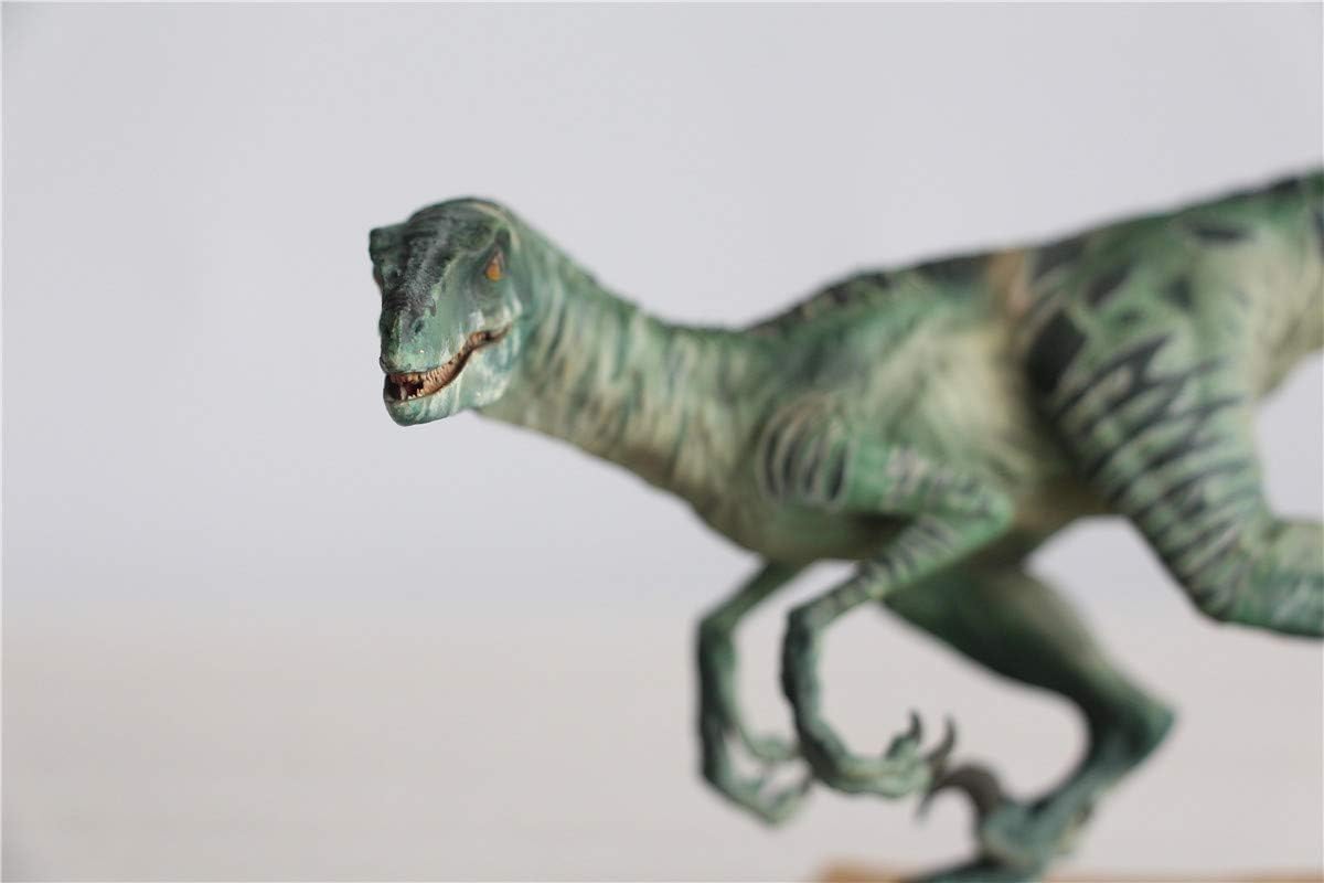 DINO DREAM 1/15 サイズ ヴェロキラプトル 恐竜 小型 肉食 リアル フィギュア PVC プラモデル 大人のおもちゃ 模型 プレゼント プレミアム 24cm級 オリジナル スタチュー 塗装済 完成品 置物 3色 台座付き (グリーン)