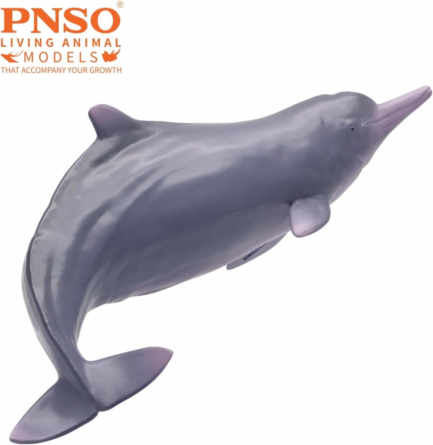 PNSO シナウスイロイルカ フィギュア 19CM級 科学 海洋動物 生物 リアル 大人 フィギュア PVC モデル プラモデル 模型 完成品 かわいい おもちゃ