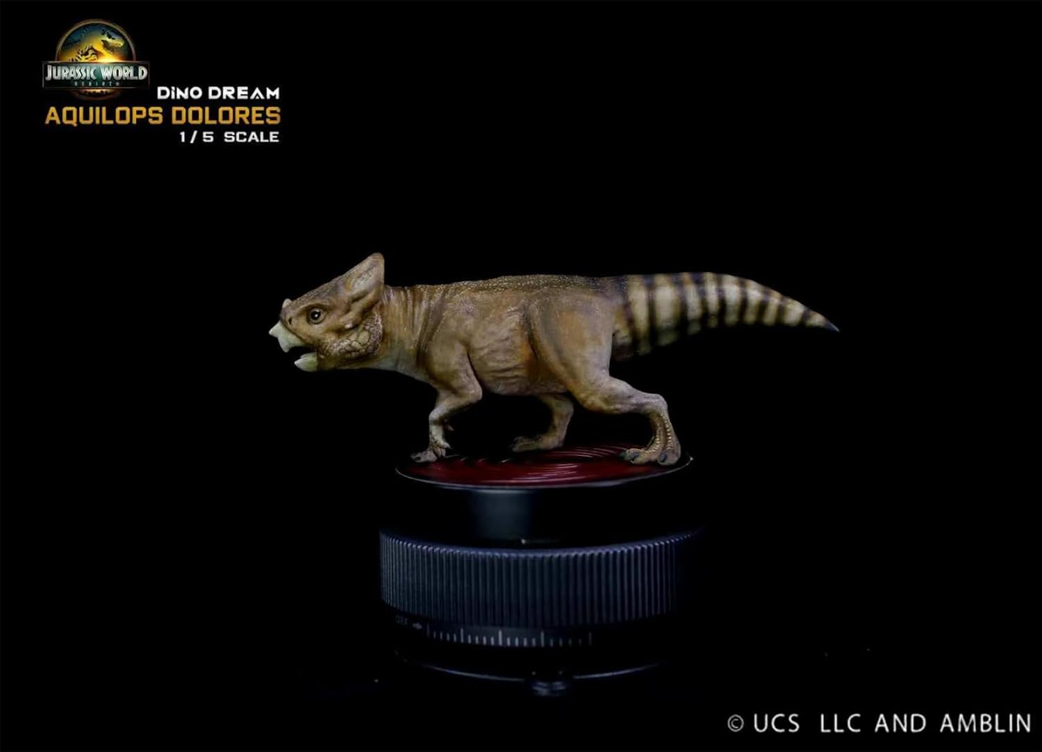 DINO DREAM 1/5 サイズ アクイロプス セット 白亜紀後期 角竜類 アクイロプス属 恐竜 11cm級 フィギュア 樹脂 プラモデル 模型 シーン 情景セット 塗装済 台座付き