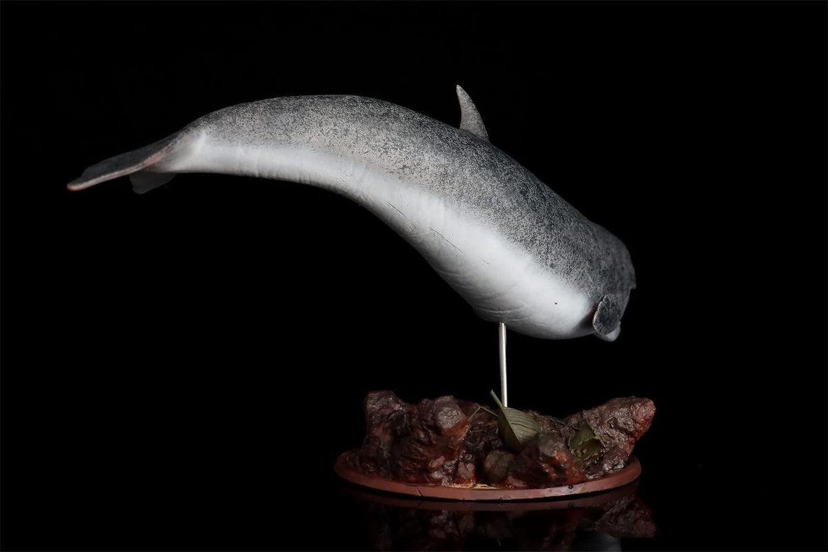 1/35 Scale Leviatan Merbilley, Whale, Statue, Resin Model, Sea Animal, Realistic Figure, Plastic Model, Garage, Kit, Adult Toy Object, 17.7 inches (45 cm), Grade with Base (Painted)