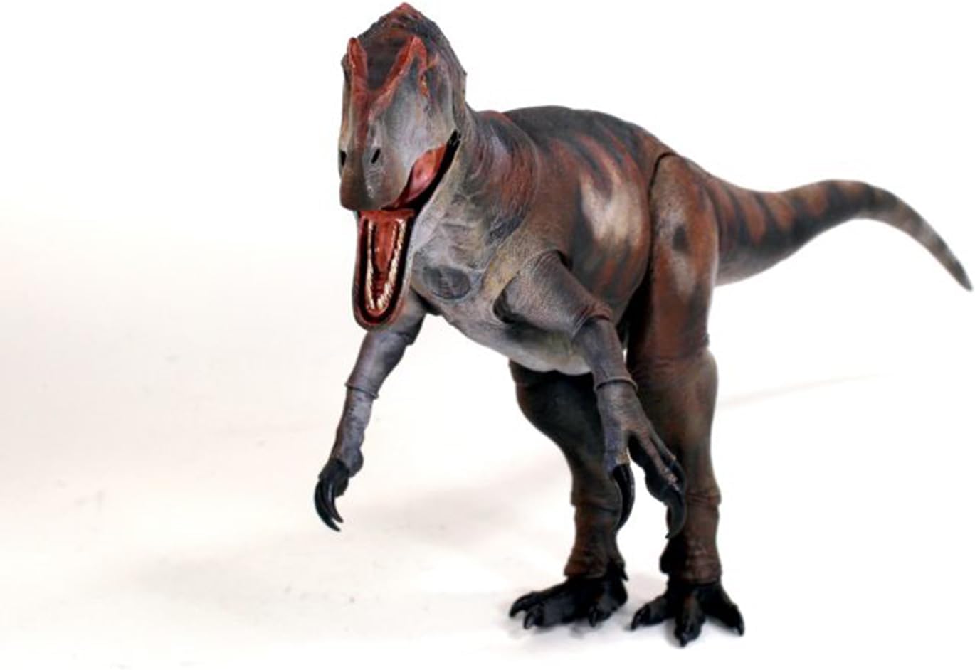 Creative Beast Studio 1/18 Arrosaurus Figure, Movable, Intermediate Jurassic Dinosaur, 20.1 inches (51 cm), Grade 22 Joints, PVC, Plastic Model, Toy, Freestanding, Display Model, Toy