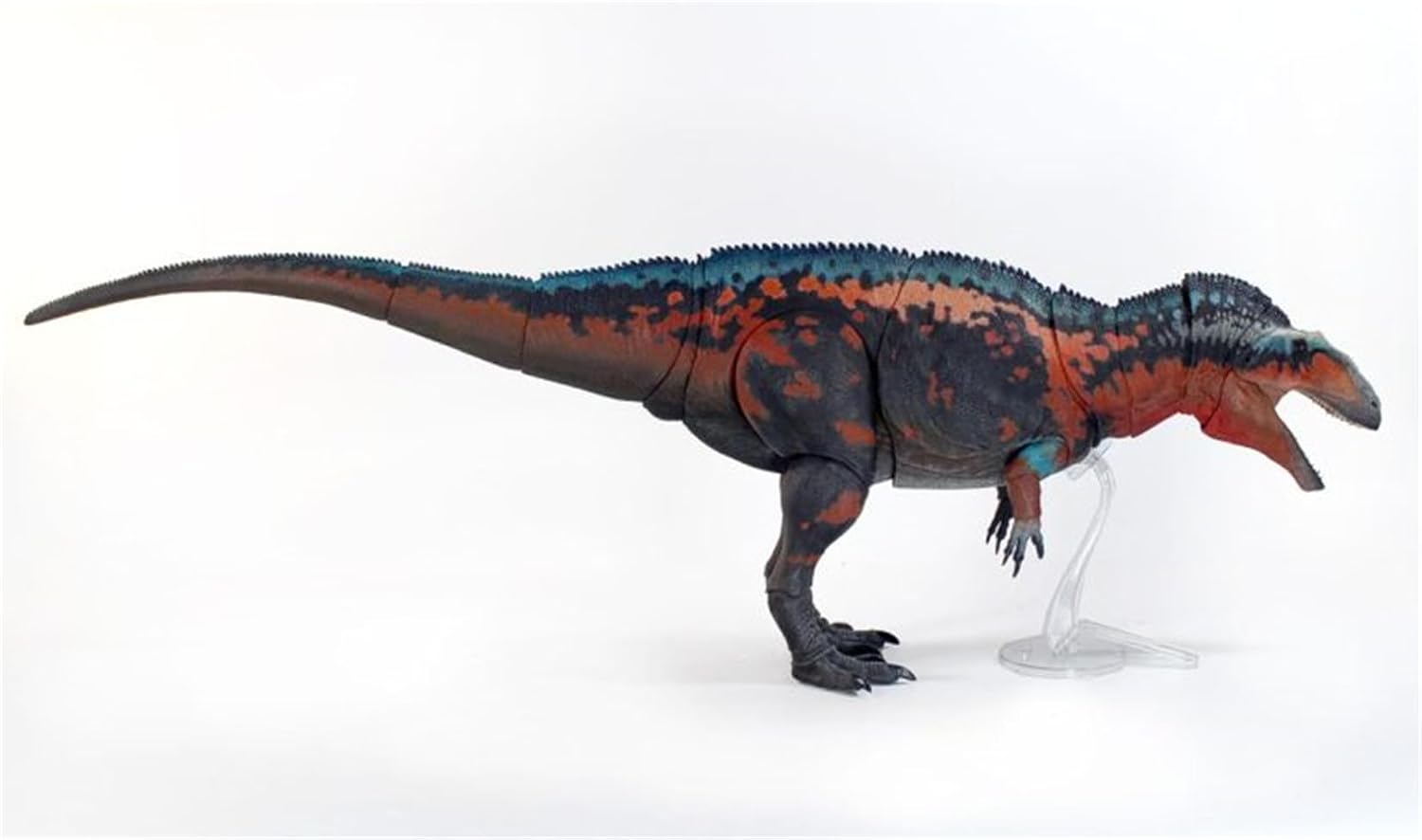 Beasts of the Mesozoic/Cenozoic 中生代の獣 1/18 アクロカントサウルス 白亜紀 恐竜 フィギュア 67.3cm級 全身23箇所可動 カルカロドントサウルス科 PVC製 模型 プラモデル おもちゃ 自立 展示 模型 玩具 関節おもちゃ [並行輸入品]