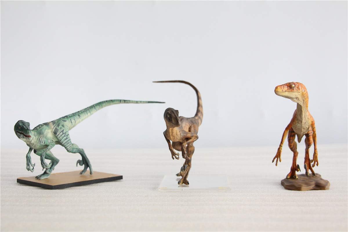 DINO DREAM 1/15 サイズ ヴェロキラプトル 恐竜 小型 肉食 リアル フィギュア PVC プラモデル 大人のおもちゃ 模型 プレゼント プレミアム 24cm級 オリジナル スタチュー 塗装済 完成品 置物 3色 台座付き (3点 セット)