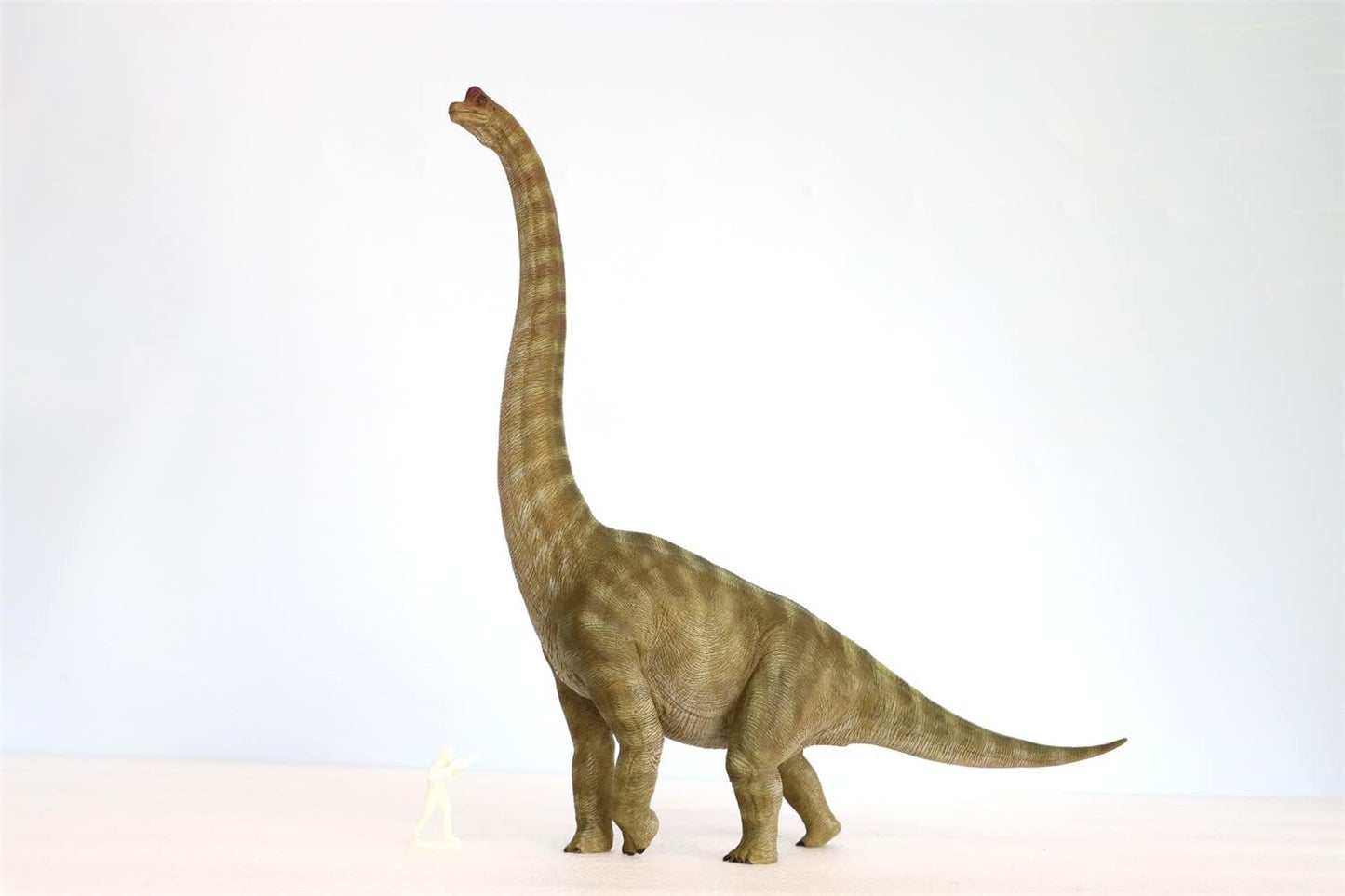Nanmu 本心楠改 ブラキオサウルス 恐竜 模型 リアル フィギュア プラモデル 完成品 (異色)