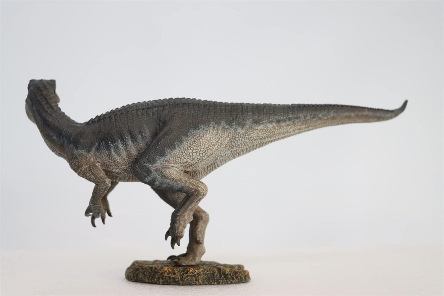 Nanmu 本心楠改 1/35 サイズ バリオニクス カップル 恐竜 フィギュア プラモデル 模型 26cm級 台座付き