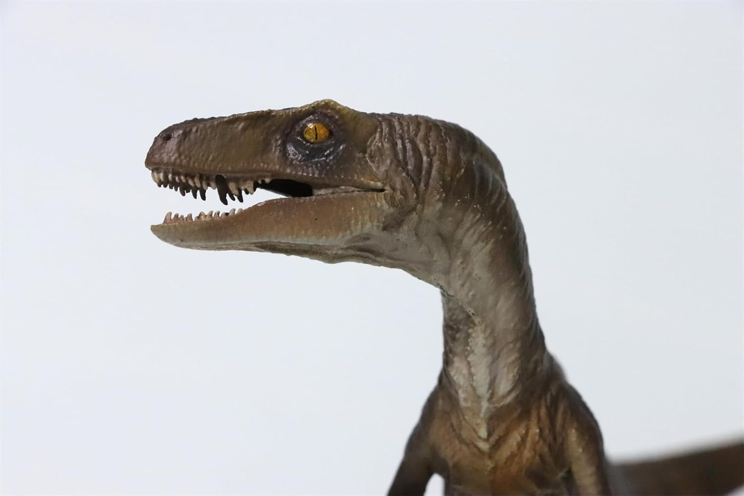 DINO DREAM ヴェロキラプトル 恐竜 肉食 リアル フィギュア PVC プラモデル おもちゃ 模型 プレゼント プレミアム 20cm級 オリジナル スタチュー 塗装済 完商品の画像