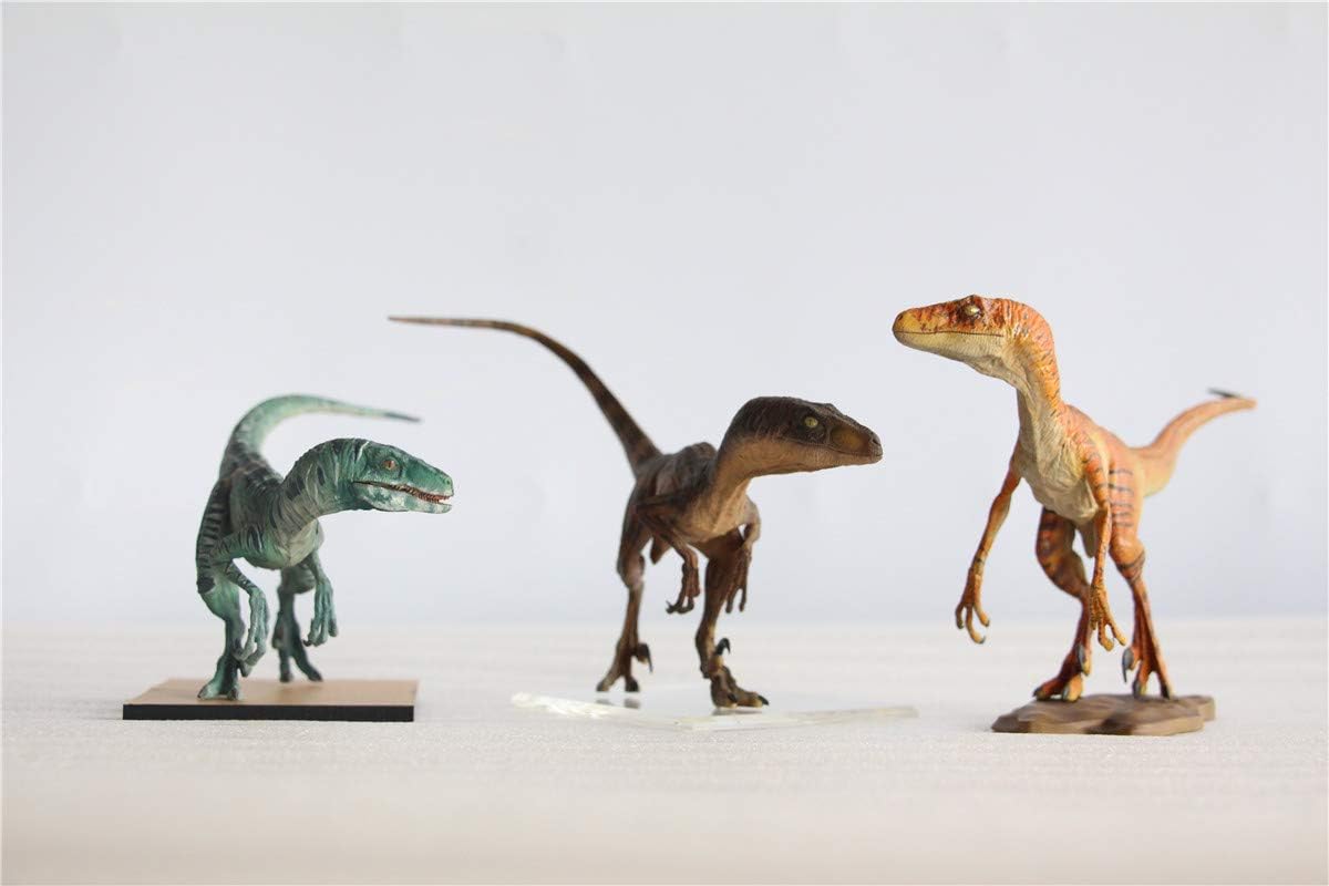 DINO DREAM 1/15 サイズ ヴェロキラプトル 恐竜 小型 肉食 リアル フィギュア PVC プラモデル 大人のおもちゃ 模型 プレゼント プレミアム 24cm級 オリジナル スタチュー 塗装済 完成品 置物 3色 台座付き (3点 セット)