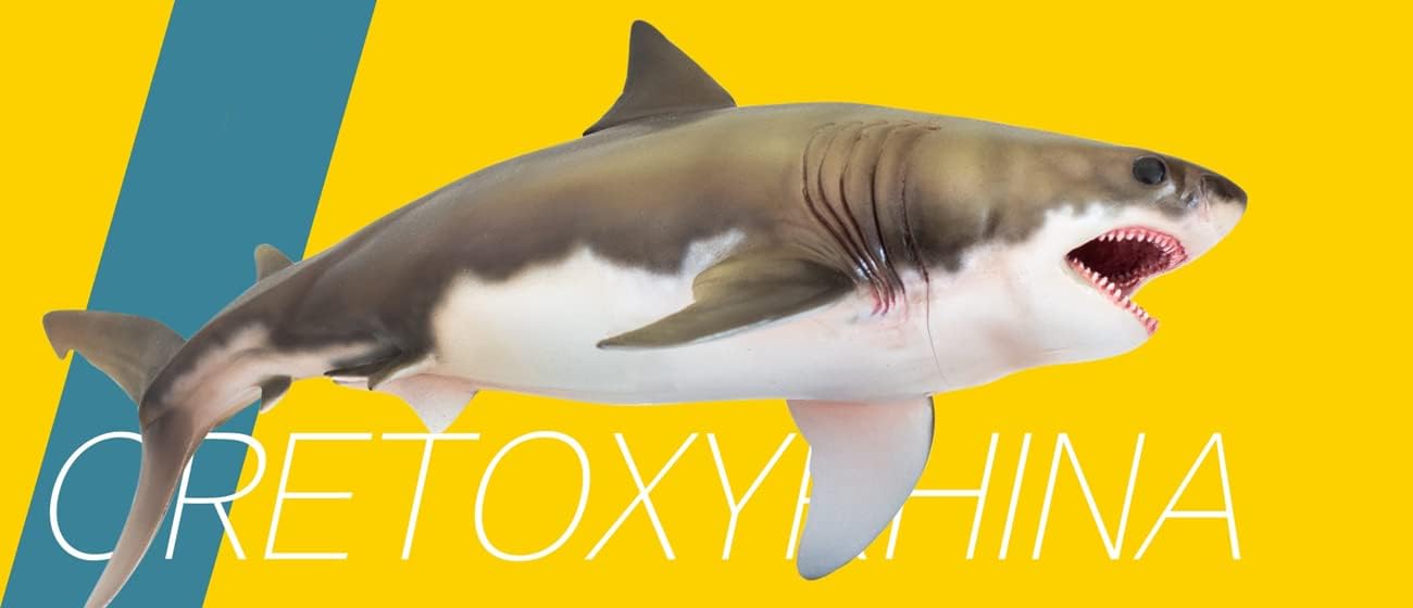 PNSO 成長シリーズ 54 クレトキシリナ サメ 海洋動物 フィギュア PVC おもちゃ 模型 20cm級