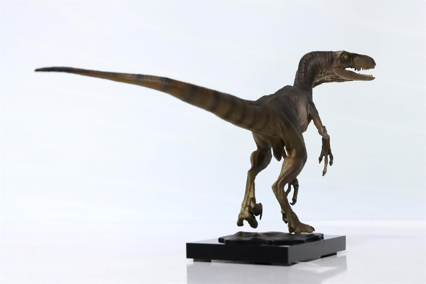 DINO DREAM ヴェロキラプトル 恐竜 肉食 リアル フィギュア PVC プラモデル おもちゃ 模型 プレゼント プレミアム 20cm級 オリジナル スタチュー 塗装済 完商品の画像